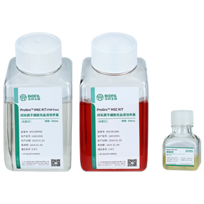 間充質(zhì)干細(xì)胞無血清培養(yǎng)試劑盒,無血清培養(yǎng)基,MSC無血清培養(yǎng)