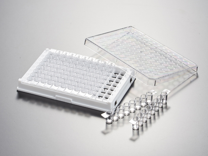 內(nèi)頁(yè)720×540 拷貝.jpg