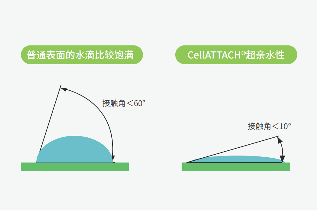 獨(dú)特的超親水表面處理技術(shù)，能為細(xì)胞提供更好的吸附性，促進(jìn)細(xì)胞快速貼壁生長(zhǎng)，提高產(chǎn)量