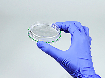 皿底抬高與邊緣持握設計， 方便握取與操作，穩(wěn)定疊放不易倒